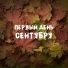 Майя Трошина, Роман Трошин