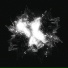 Xanity