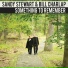 Sandy Stewart, Bill Charlap