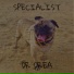 Dr Drea