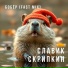 Славик Скрипкин