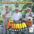 Trio Furia Huasteca