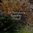 Rain for Deep Sleep, Nature Recordings, Rainfall