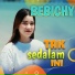 BEBICHY