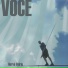 Hervé Voirin