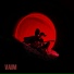 VAIM