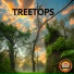 Dhedbeats