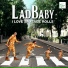 LadBaby [drivemusic.me]