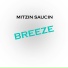 Mitzin Saucin
