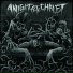 A Night At The Chalet