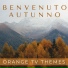 Orange Tv Themes