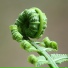 Natureza, Meditación Guiada, Sueño Lucido