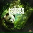 Panda Nature, Panda Ambience, Panda Music