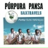 Púrpura Pansa
