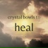 The Healing Project, Schola Camerata