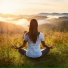Armonía Meditativa, Hanami Zen, Olas del mundo