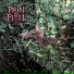 Pain in Full
