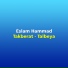 Eslam Hammad
