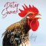 Peter Samek