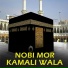 MD Hannan
