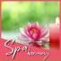 Scents of Spa