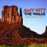 Amy Hitt