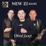 NEW ZI BAND