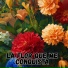 Los Andinenses