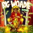 NLSWOADIE