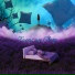 Deep Sleep Sanctuary, Deep Sleep Music Society