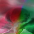 FVUX feat. ACID RASPI