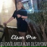 Elsen Pro