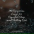Nature and Rain, Raindrops Sleep, Help Me Sleep