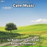 Meditation Music, Relaxing Spa Music, Yoga