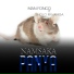 Man Fongo feat. Sholo Mwamba
