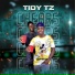 Tidy Tz