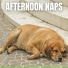 The Sleepy Sounds