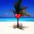 Raed