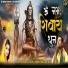 Harbhajan Hari, Meenu Atwal
