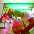 Willd feat. Di Gozz