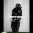 doublegucci69