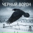 VASYA MUSIC