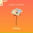 Loud Luxury