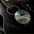 VLADESCO