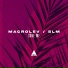 MACROLEV SLM