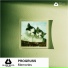 PROGRUSS
