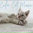 RelaxMyCat, Cat Music Dreams, Cat Music Therapy