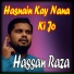 Hassan Raza