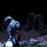 PLOOMY, slidy