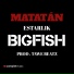 Estarlik Big Fish